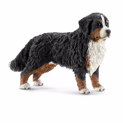 schleich Farm World Bouvier Bernois, Femelle, 3 an(s), Multicolore, Plastique, 1 pièce(s)
