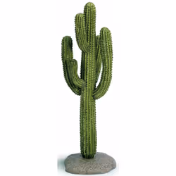 schleich Cactus Géant, 3 an(s)