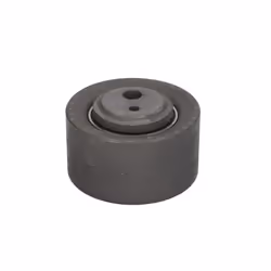 Galet enrouleur de courroie de distribution INA 531 0257 10