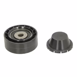 Galet enrouleur de courroie d'accessoire INA 532 0260 10