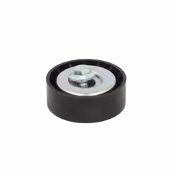 Galet enrouleur de courroie d'accessoire INA 532 0295 10