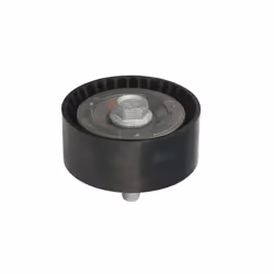 Galet enrouleur de courroie d'accessoire INA 532 0298 10