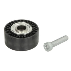 Galet enrouleur de courroie d'accessoire INA 532 0433 10