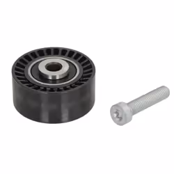 Galet enrouleur de courroie d'accessoire INA 532 0433 10