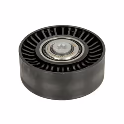 Galet enrouleur de courroie d'accessoire INA 532 0505 10