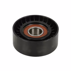 Galet enrouleur de courroie d'accessoire INA 532 0516 10