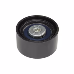 Galet enrouleur de courroie d'accessoire INA 532 0556 10