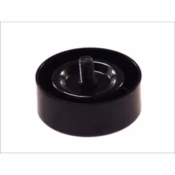 Galet enrouleur de courroie d'accessoire INA 532 0606 10