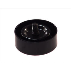 Galet enrouleur de courroie d'accessoire INA 532 0606 10