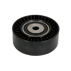 Galet enrouleur de courroie d'accessoire INA 532 0631 10