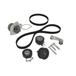 Kit distribution avec pompe à eau INA 530 0089 31