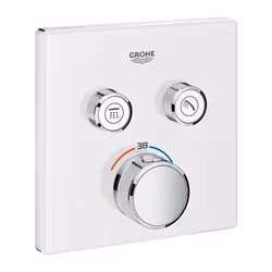GROHE THERMOSTATIQUE POUR INSTALLATION ENCASTRÉE 2 SORTIES, Baignoire et douche, Vannes rotatives, Métal, Blanc
