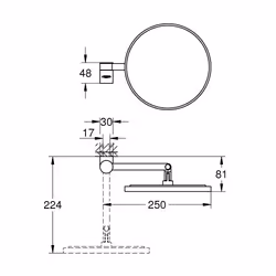 GROHE Selection miroir mural
