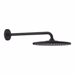 GROHE Rainshower Mono 310, Noir, 1 pièce(s)