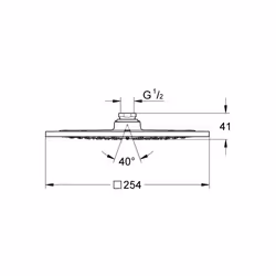 GROHE Rainshower F-Series 10″ Chrome