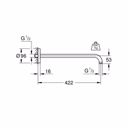 GROHE Rainshower Chrome 1 pièce(s)