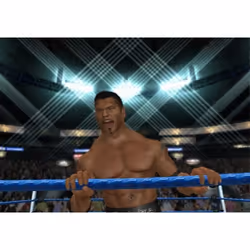 THQ WWE SmackDown vs. Raw 2009 Wii
