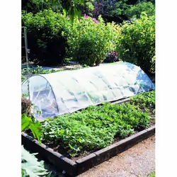 Neudorff 6000.735 film de protection des plantes Blanc