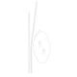 Support Ciel de Lit - ROBA - 150 cm - Blanc