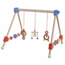 roba 98810, Tapis de gymnastique pour bébé, Barre d'activités, Multicolore, Polyester, Bois