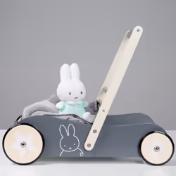 roba 460153D210 trotteuse pour bébé