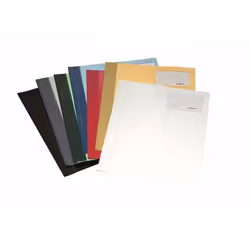 Durable 2500-01 protège documents PVC Noir