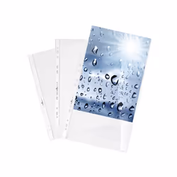 Durable 2676-19, 210 x 297 mm (A4), Transparent, Polypropylène (PP), Portrait, Haut, 100 pièce(s)