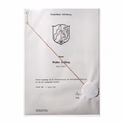 Durable 213119 protecteur de feuilles 210 x 297 mm (A4) Polypropylène (PP) 1 pièce(s)