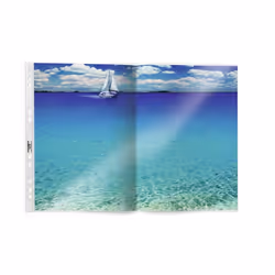 Durable 267019 protecteur de feuilles 300 x 420 (A3) 50 pièce(s)
