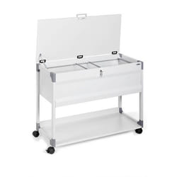 Durable 3787 Boîte à archives Acier inoxydable Gris