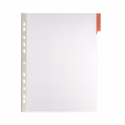 Durable Pochette Function Panel A4, Pochette plastique transparente, Rouge, Transparent, PVC, 210 x 297 mm (A4), Rouge, 6 cm