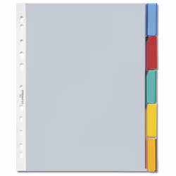 Durable 6630, Onglet avec index vierge, Transparent, 250 mm, 302 mm