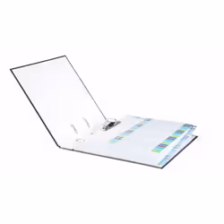 Durable 679727 intercalaire de classement Onglet avec index vierge Polypropylène (PP) Multicolore