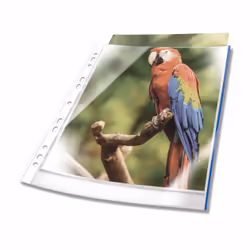 Durable 265406, A4, Bleu, Transparent, Polypropylène (PP), 230 mm, 0,08 mm, 305 mm
