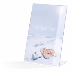 Durable 8596-19 Support de panneau A4 Acrylique Transparent