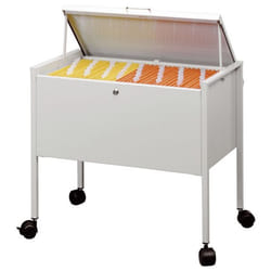 Durable 309810 Boîte à archives Acier Gris