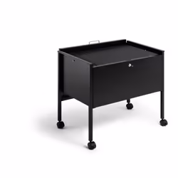 Durable 309801 Boîte à archives Acier Noir