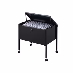 Durable 309801 Boîte à archives Acier Noir