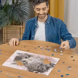 Ravensburger Puzzle 500 p - Douceur de chaton