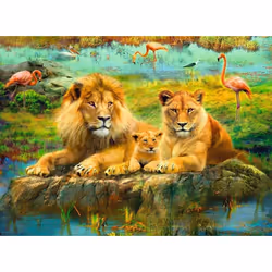 Ravensburger 12000220 Jeu de puzzle 500 pièce(s) Autres