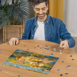 Ravensburger 12000220 Jeu de puzzle 500 pièce(s) Autres