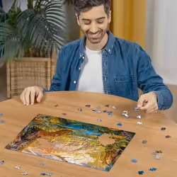 Ravensburger 12000238 Jeu de puzzle 500 pièce(s) Autres