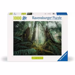 Ravensburger Puzzle 1000 p - En forêt (Nature edition), 1000 pièce(s), 14 an(s)
