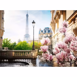 Ravensburger 12000366 Jeu de puzzle 500 pièce(s) Autres