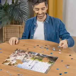 Ravensburger 12000366 Jeu de puzzle 500 pièce(s) Autres