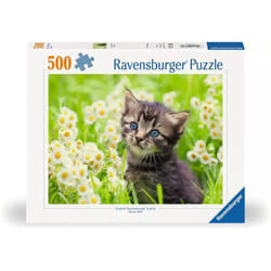 Ravensburger 12000367 Jeu de puzzle 500 pièce(s) Autres
