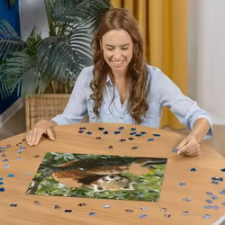 Ravensburger Puzzle 500 p - Adorable Panda roux