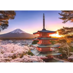 Ravensburger Puzzle 1000 p - Cerisiers en fleurs du Mont Fuji