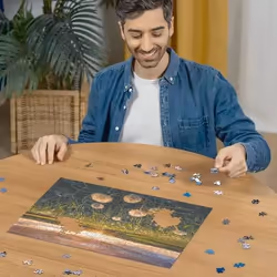 Ravensburger 12000592 Jeu de puzzle 500 pièce(s) Autres