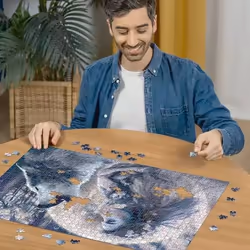 Ravensburger Puzzle 1000 p - Magie du clair de lune